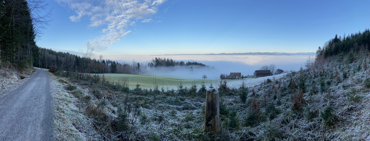 Hi, I'm Stephan Heuel